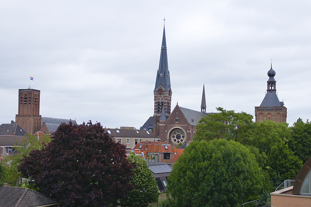 Culemborg - Zicht vanaf molen de Hoop