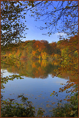 Etang de Commelles