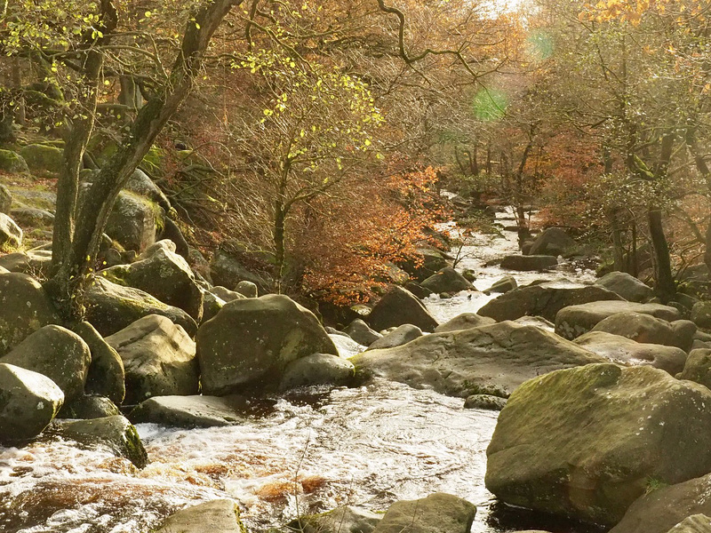 #42 - Peter Castell - Padley Gorge - 15̊ 2points