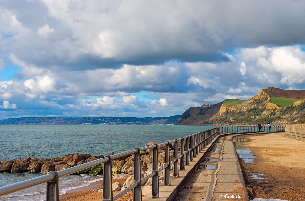 West Bay  HFF!