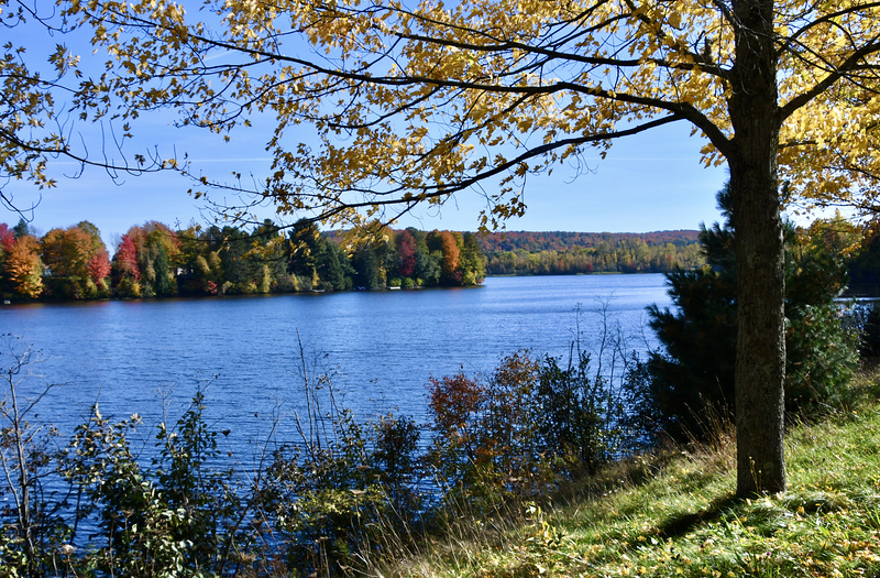 Lac D'Avignon et son environnement