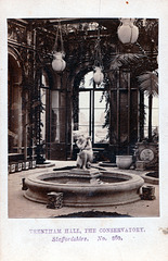 The Conservatory, Trentham Hall, Staffordshire from a nineteenth century carte de visite