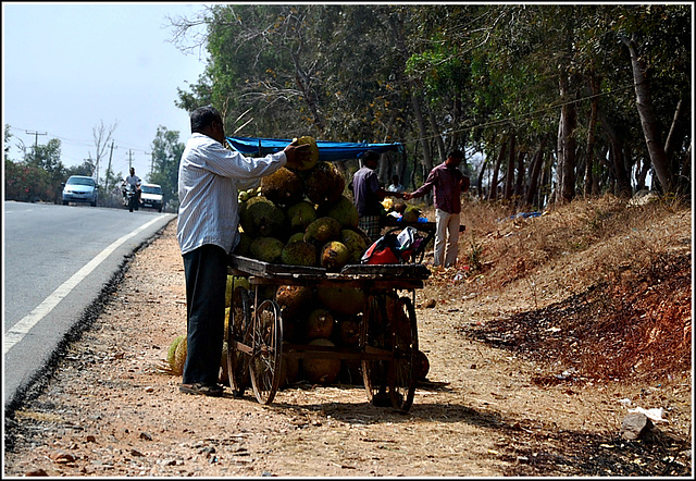 Jack fruits