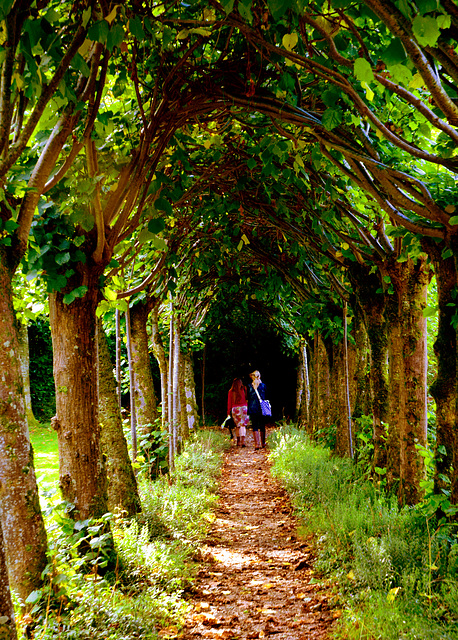 Athelhampton Gardens.