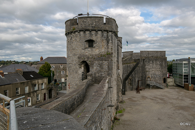 Limerick Castle