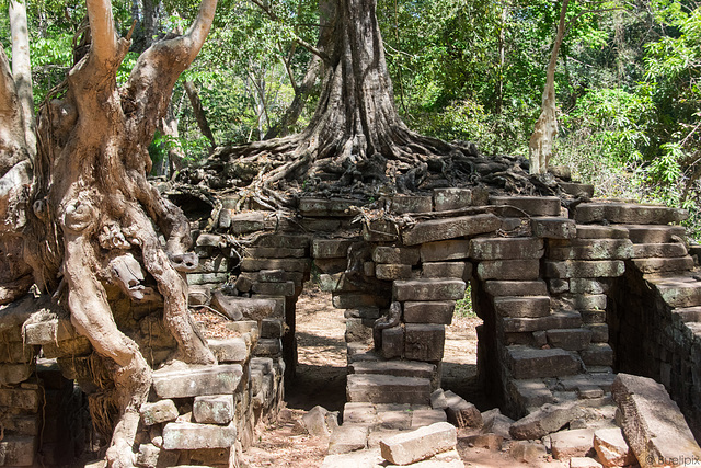 unterwegs in Angkor Thom (© Buelipix)