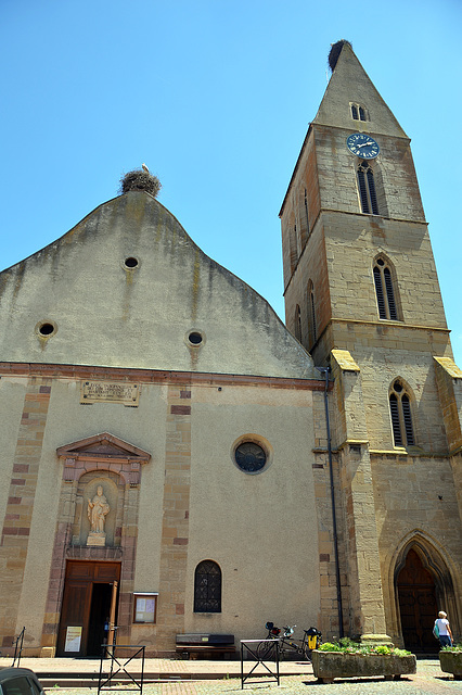 St. Peter und Paul (Eguisheim)