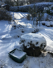 13 cm de neige le 19 janvier