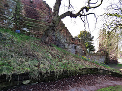 town walls chester (9)