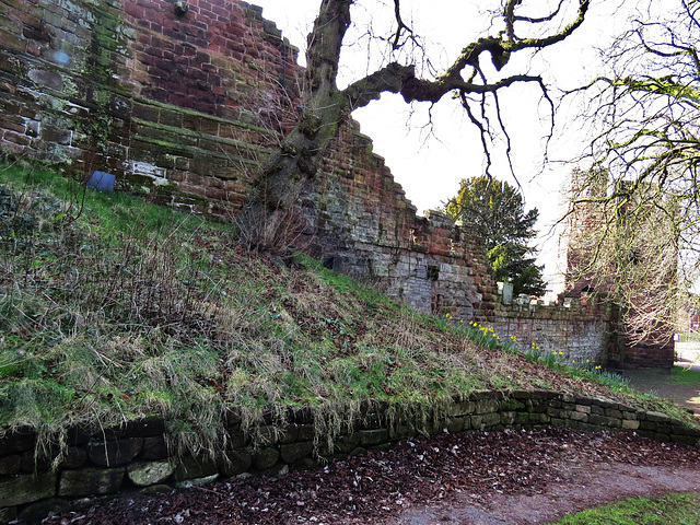 town walls chester (9)