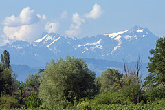 Schweizer Berge