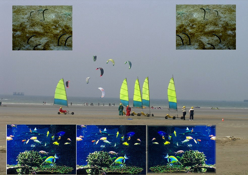 Montage sur Mer