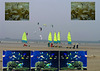 Montage sur Mer