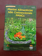 DSC01066 - PANCs