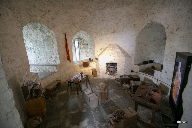 Limerick Castle