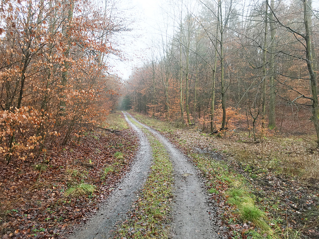 -weg 0973