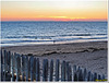 Happy Beach Fence for Friday :)