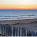 Happy Beach Fence for Friday :)