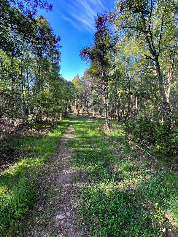From my early morning 1.5 mile circuit from home