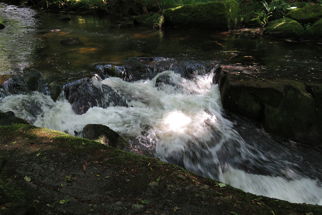 golitha falls (9)