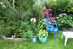le royaume de mon épouse (3/5) le royaume de mon épouse (3/5)