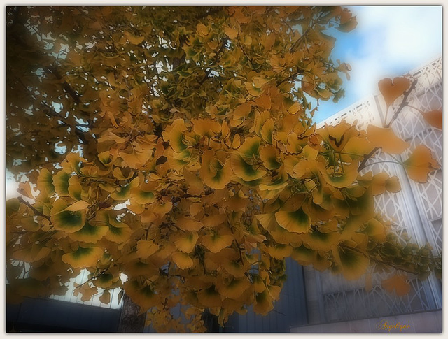 Belle journée à tous !