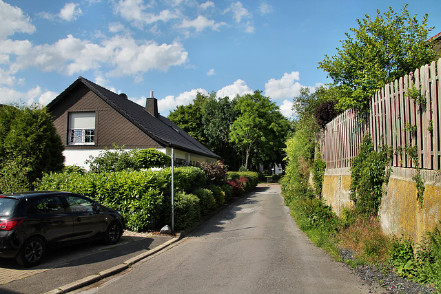 Am Brauck (Fröndenberg-Dellwig) / 11.06.2022