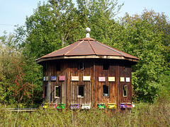 Das Multi-Kulti Bienenhaus