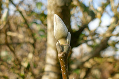 C'est le printemps !