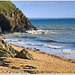 La plage au pied des falaises