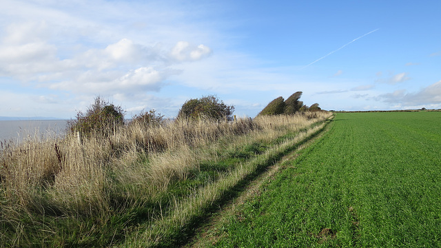 Heritage Coast