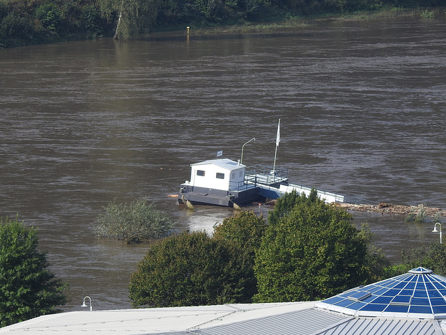 Elbe-Hochwasser, Bad Schandau