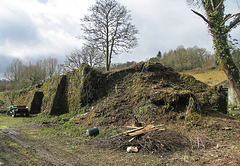 St Keyne limekiln