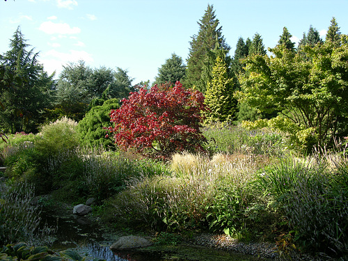 ipernity Botanischer Garten Klein Flottbek by Kalli