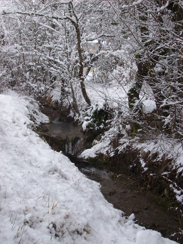 Rojo (Castellane)