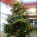 market Christmas tree