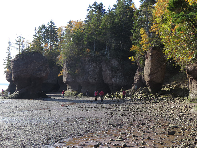 Hopewell Rocks, Bay of Fundy