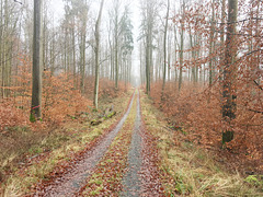 -weg 0974