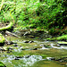 In der Ehrbachklamm