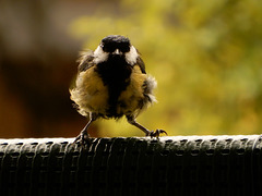 quand l'appel du ventre se fait sentir,