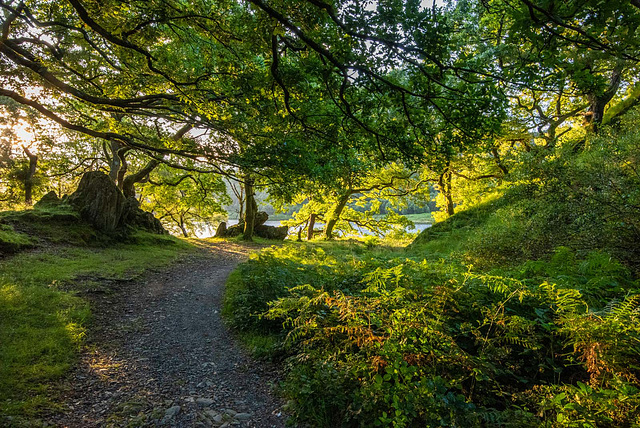 Lake Glaslyn footpath