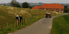 hff                                (Farm -het Dal ) Bissen.