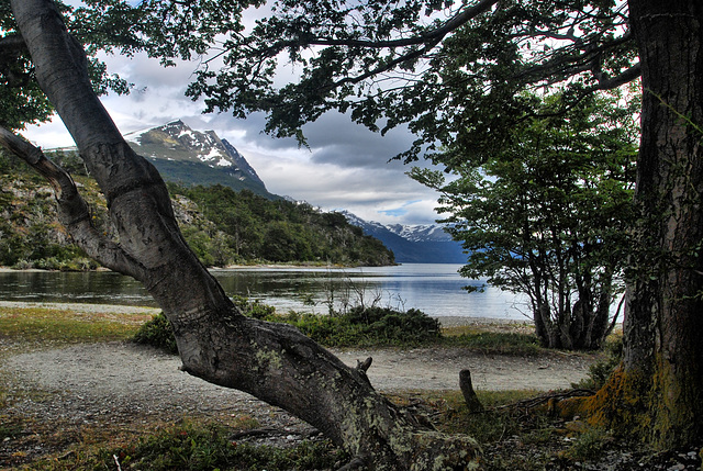 Tierra de Fuego -   Lago Acigami