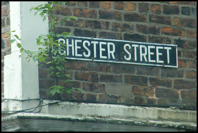 Chester Street street sign