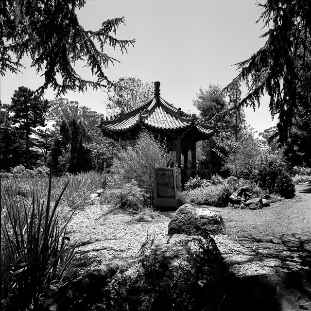 A Temple in the Glade