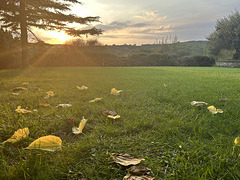 Very first leaves are falling.