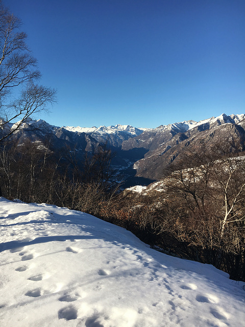 Valle Maggia