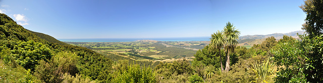 New Zealand/ Kaikoura