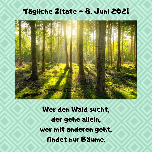 Tägliche Zitate - 8. Juni 2021