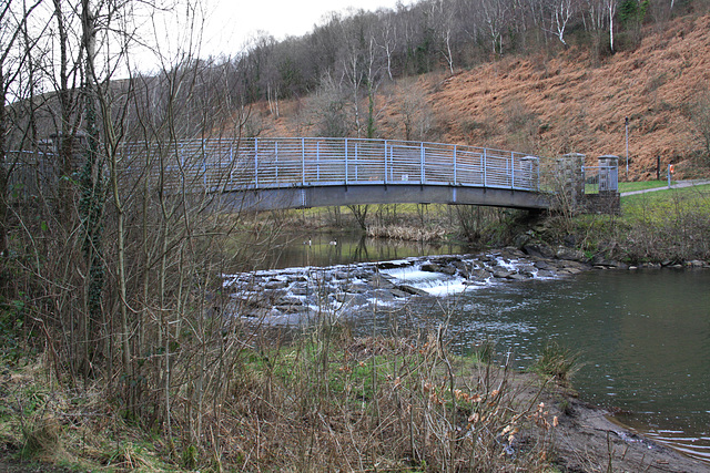 Bridge at the Country Park